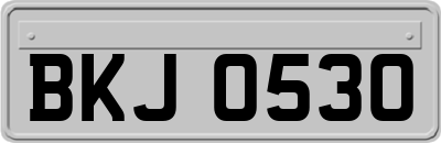 BKJ0530