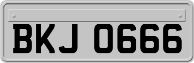 BKJ0666
