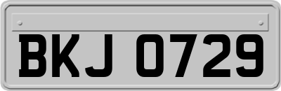 BKJ0729