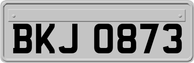 BKJ0873
