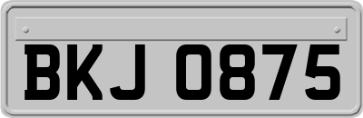 BKJ0875
