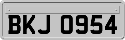 BKJ0954