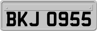 BKJ0955