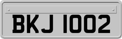BKJ1002