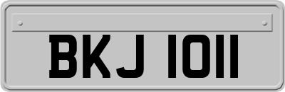 BKJ1011