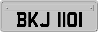 BKJ1101
