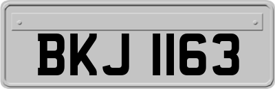 BKJ1163