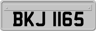 BKJ1165