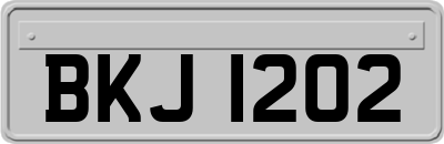 BKJ1202