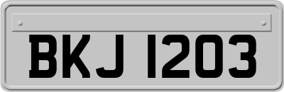 BKJ1203