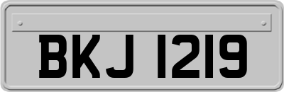 BKJ1219