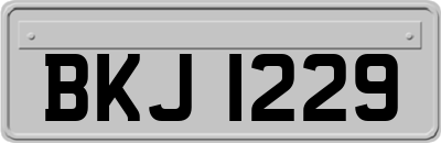 BKJ1229