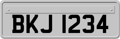 BKJ1234