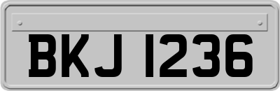 BKJ1236
