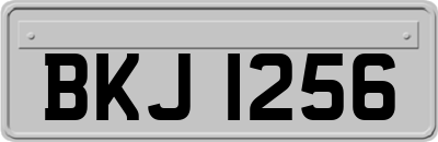 BKJ1256