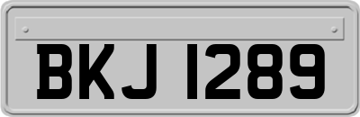 BKJ1289