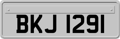 BKJ1291
