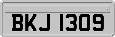 BKJ1309
