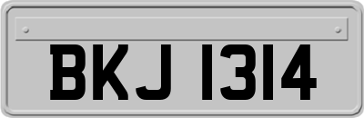 BKJ1314