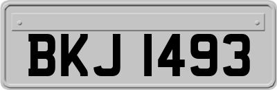 BKJ1493