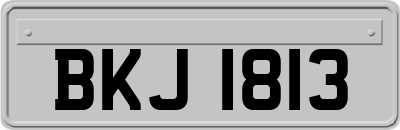 BKJ1813