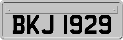 BKJ1929