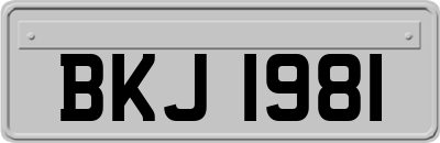 BKJ1981