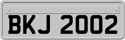 BKJ2002