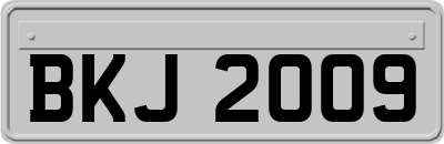 BKJ2009