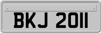 BKJ2011