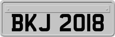 BKJ2018