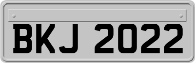 BKJ2022