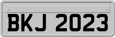 BKJ2023