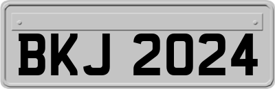 BKJ2024