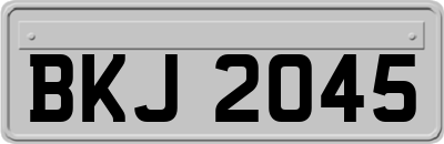 BKJ2045