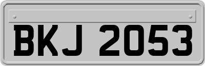 BKJ2053