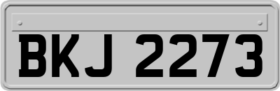 BKJ2273