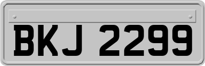 BKJ2299
