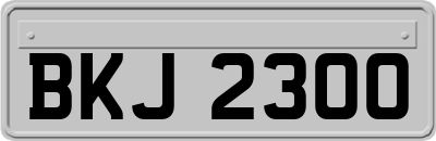 BKJ2300