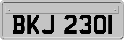 BKJ2301