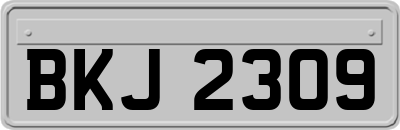 BKJ2309