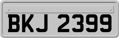 BKJ2399
