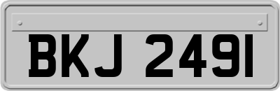 BKJ2491