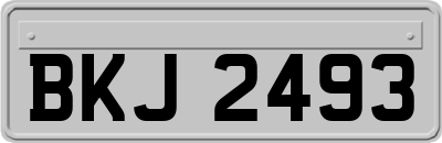 BKJ2493