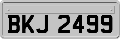BKJ2499