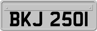 BKJ2501