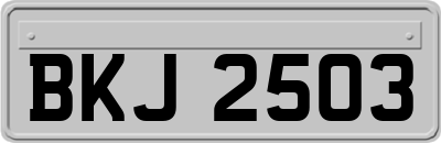 BKJ2503
