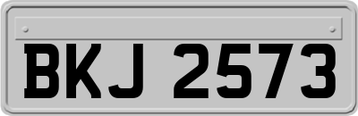 BKJ2573