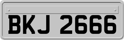 BKJ2666