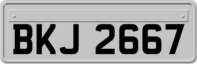 BKJ2667